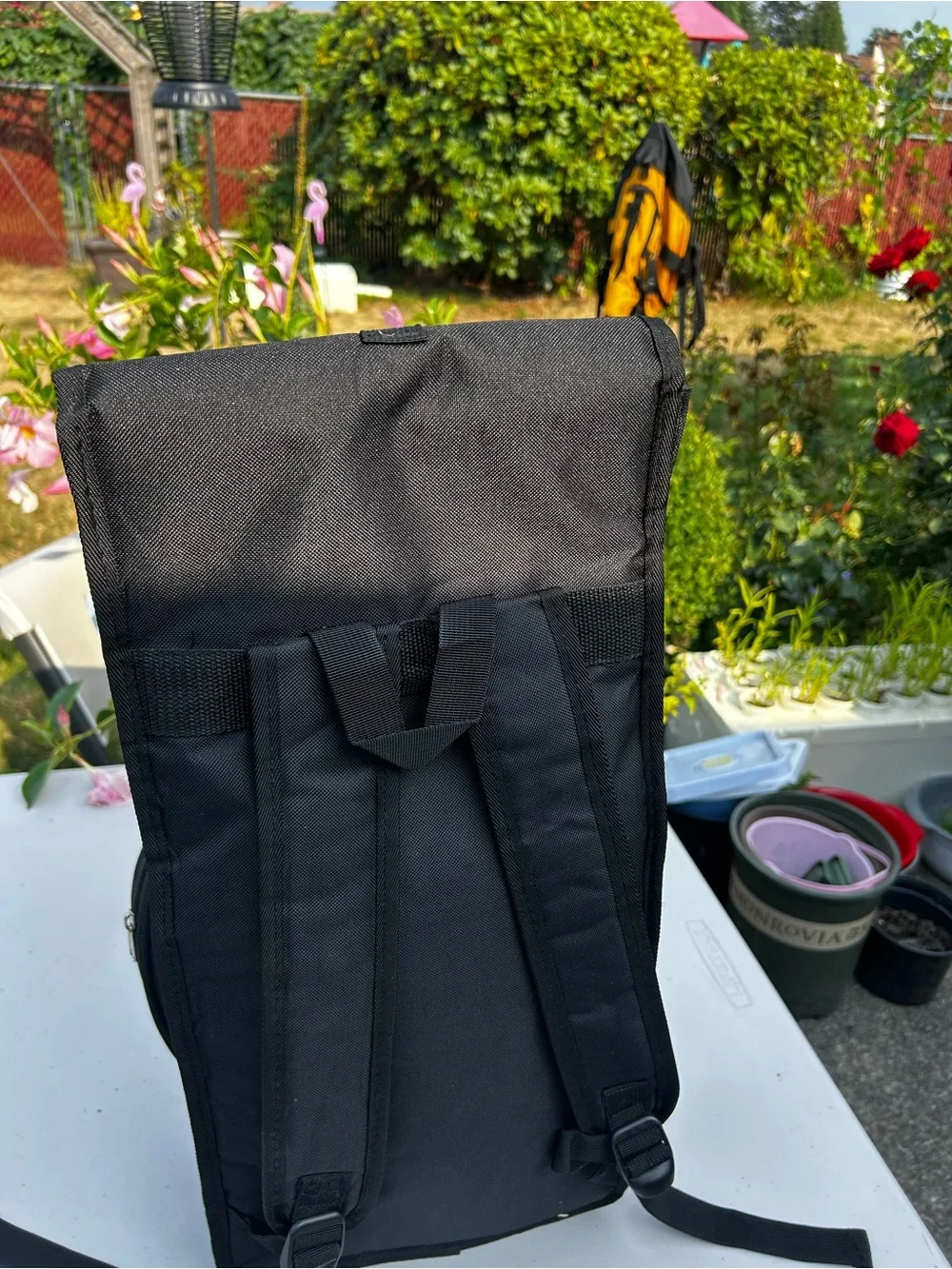Growdsily durable black